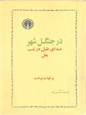 در جنگل شهر